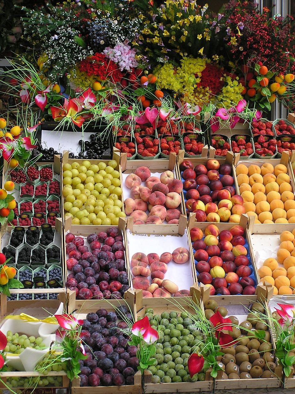  Leaflet Fruit Stand
